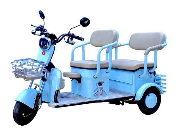 WINLEE DuraMax Battery Product 5